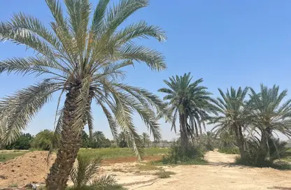 Farm - Studio for sale in Al Ajban - Abu Dhabi