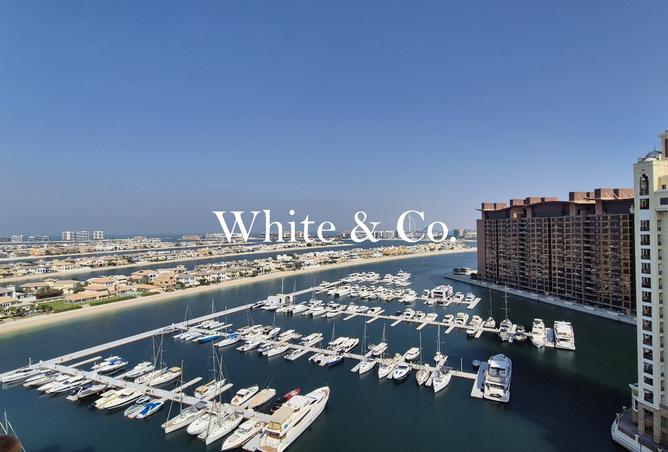 15626583 - صورة العقار 3