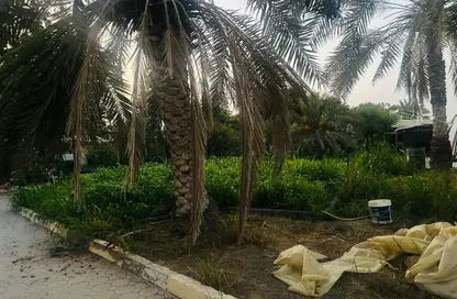 فيلا - 5 غرف نوم - 5 حمامات للايجار في الرفاع - رأس الخيمة