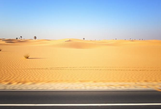 16093329 - Property Image 2