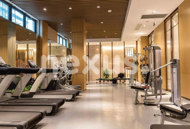 15681476 - صورة العقار 3