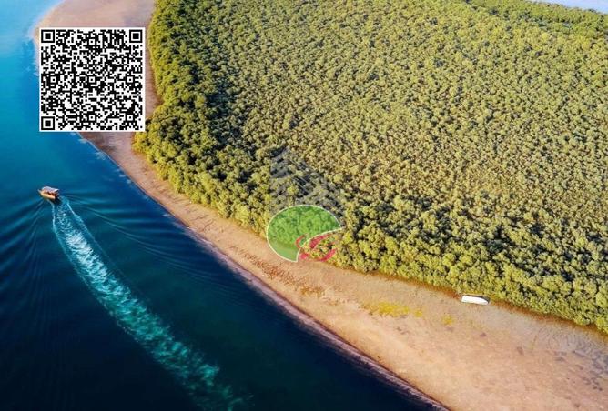 15767999 - صورة العقار 2