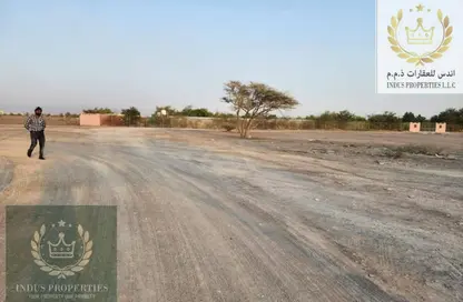 أرض - استوديو للبيع في المنامة - عجمان