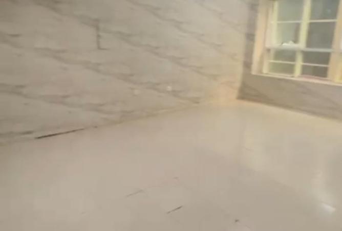 15827053 - Property Image 3