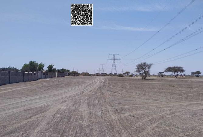 15666387 - Property Image 3