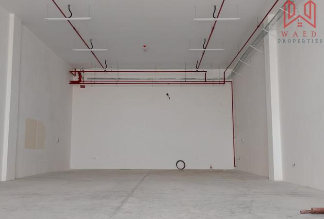 14153986 - Property Image 3