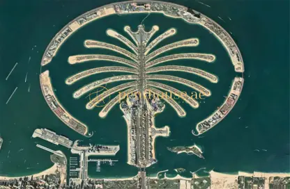 أرض - استوديو للبيع في نخلة جبل علي - السعفة P - نخلة جبل علي - دبي