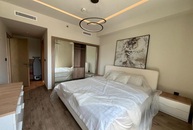 15257183 - Property Image 3