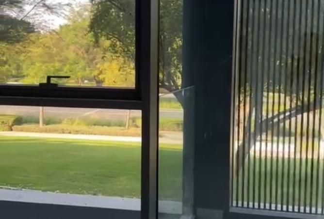 15955002 - Property Image 3