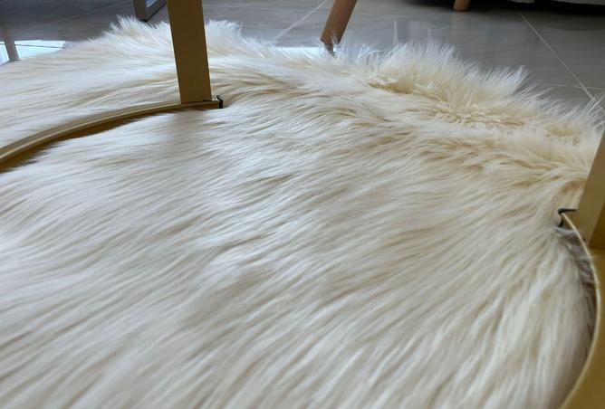 15822683 - صورة العقار 2