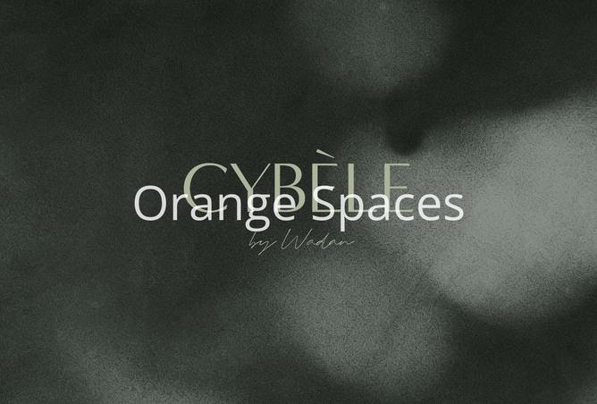 15974846 - Property Image 2