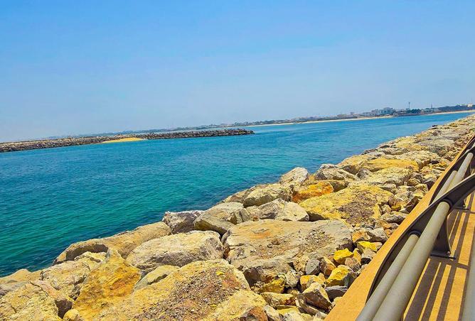 15638267 - صورة العقار 3