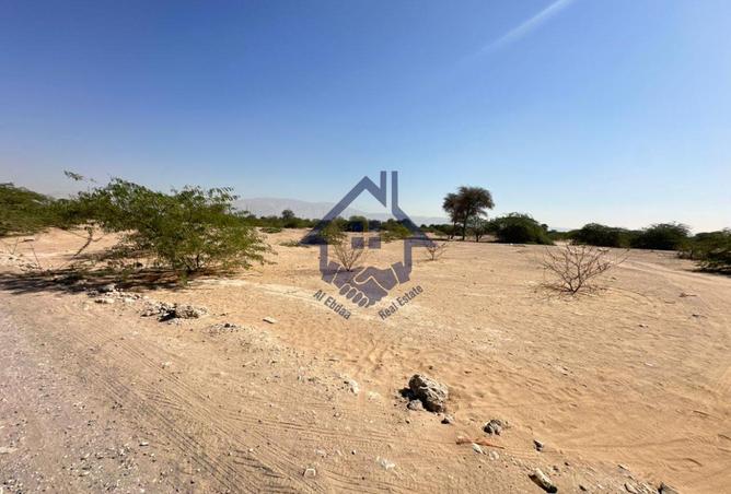 15708340 - صورة العقار 3