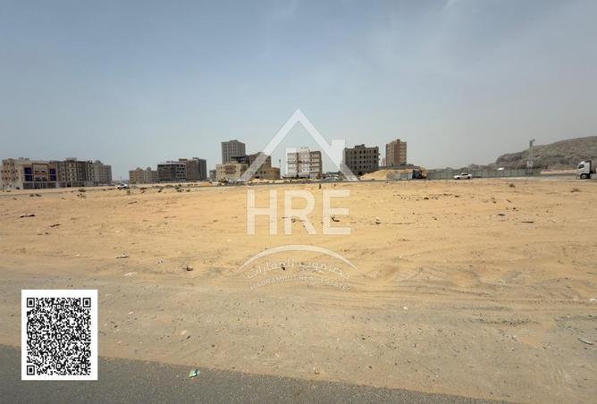 14733719 - Property Image 3