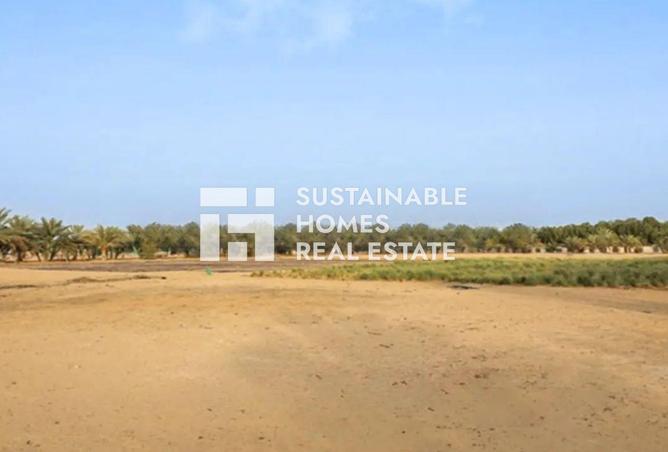 15539702 - صورة العقار 3