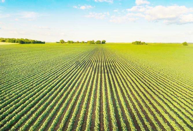 15696937 - صورة العقار 2