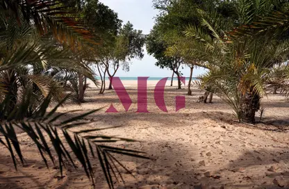 Apartment - 2 Bedrooms - 3 Bathrooms for sale in Al Jurf Gardens - AlJurf - Ghantoot - Abu Dhabi