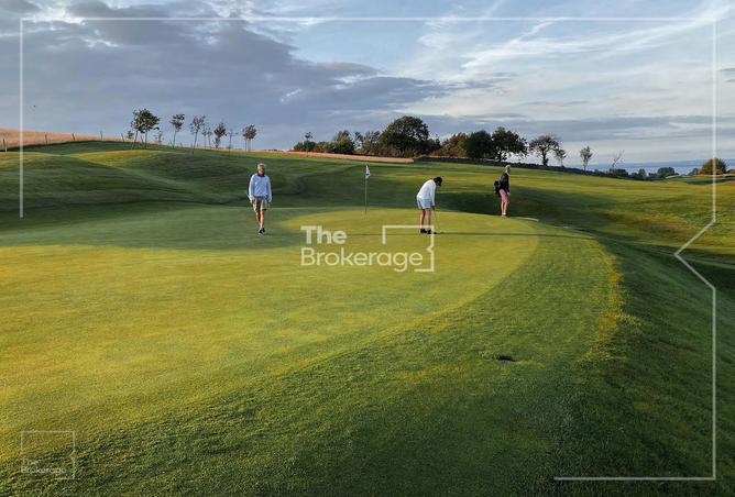 16082995 - Property Image 3