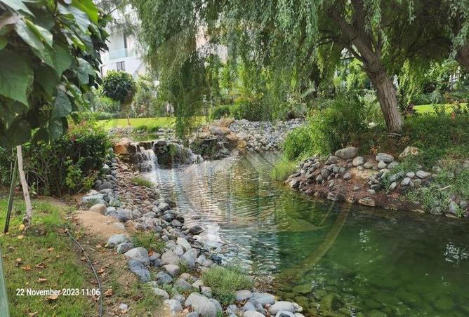 15728621 - صورة العقار 2