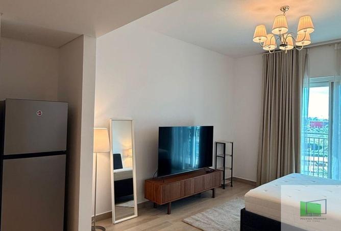 15952934 - Property Image 2