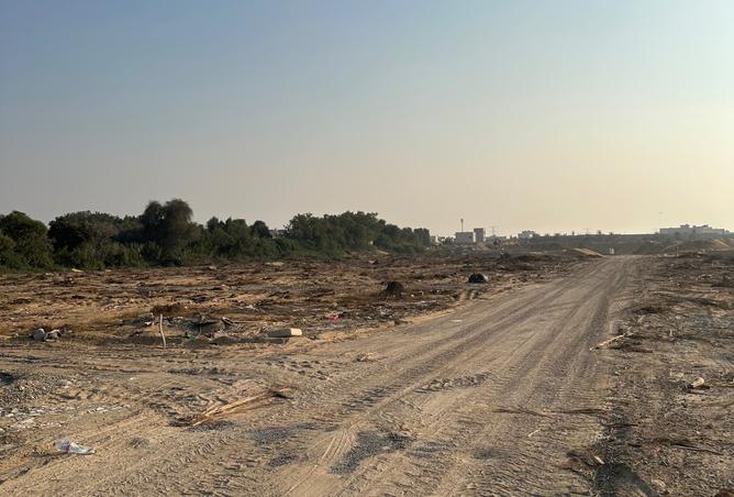 15966773 - Property Image 3