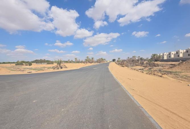 16105581 - Property Image 2