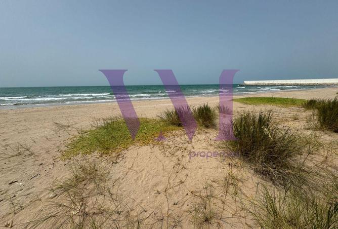 15132154 - Property Image 3