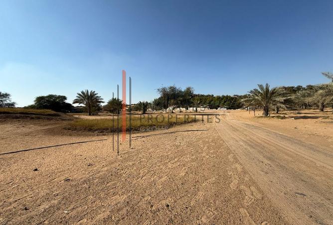 15879236 - Property Image 3