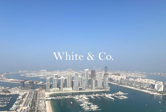 15663253 - صورة العقار 2