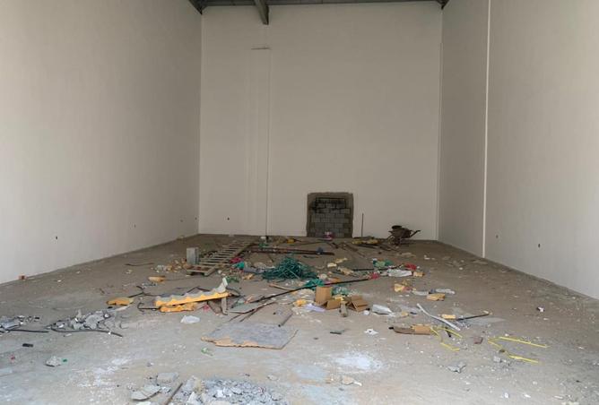 15955384 - Property Image 3