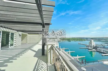 Apartment - 2 Bedrooms - 3 Bathrooms for rent in Eastern Mangroves Promenade - Eastern Road - Abu Dhabi