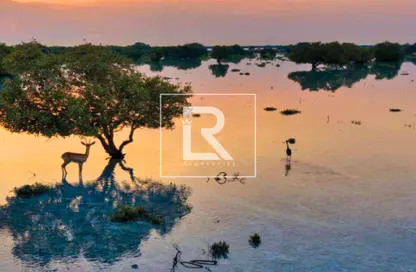 Land - Studio for sale in Marfaa Al Jubail - Al Jubail Island - Abu Dhabi