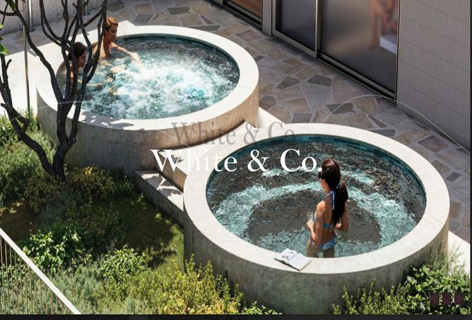 15586362 - Property Image 3