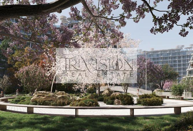 15713525 - صورة العقار 3