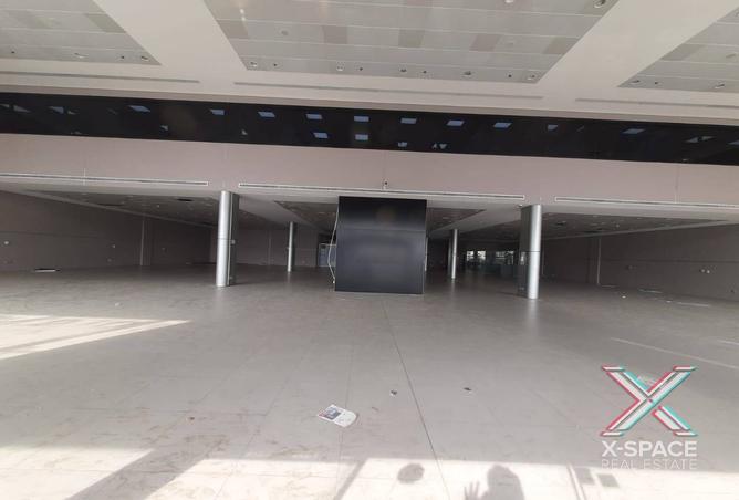 15160166 - Property Image 3