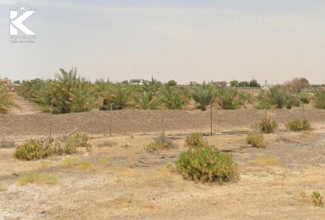 15987384 - Property Image 3