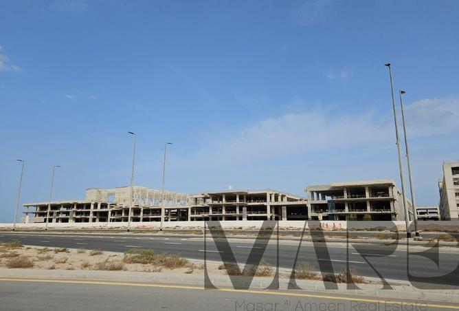 15136646 - Property Image 3
