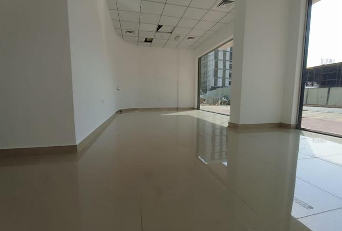 16091469 - Property Image 3