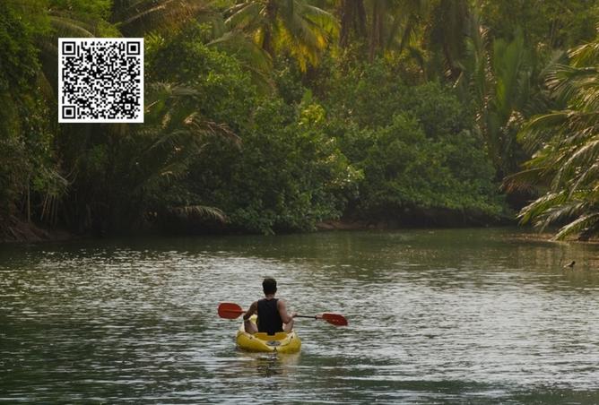 15490002 - صورة العقار 3