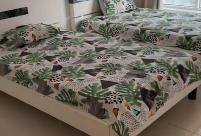 15219056 - صورة العقار 3