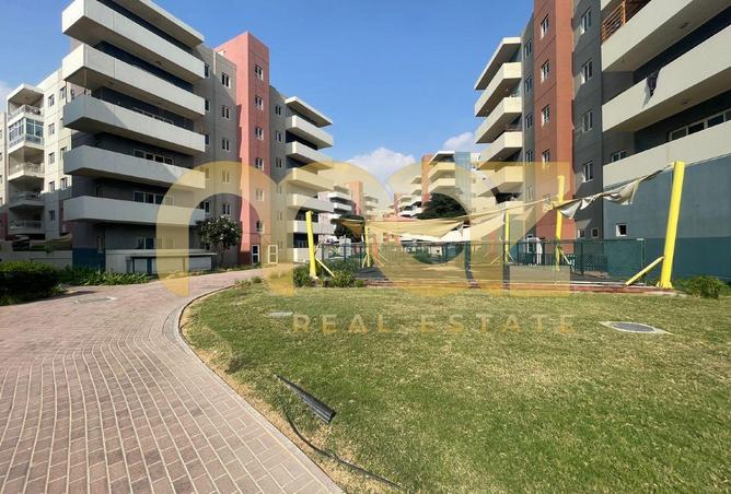 16066867 - Property Image 3