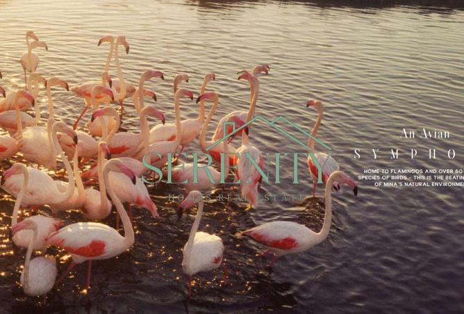 16009868 - صورة العقار 2