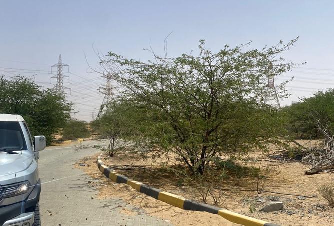 15533204 - صورة العقار 3