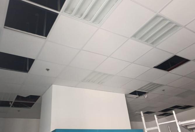 16041325 - Property Image 3