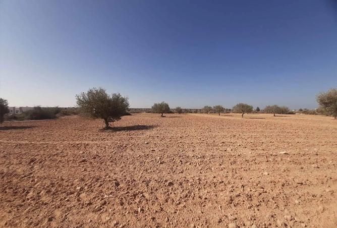 15629668 - صورة العقار 3