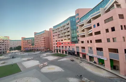 شقة - غرفة نوم - 2 حمامات للايجار في مبنى 1 - 37 - زين - ديسكفري غاردنز - دبي