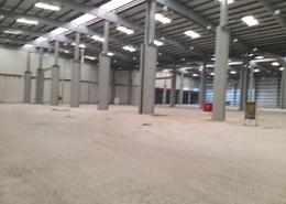Warehouse - 8 bathrooms for sale in Mussafah Industrial Area - Mussafah - Abu Dhabi