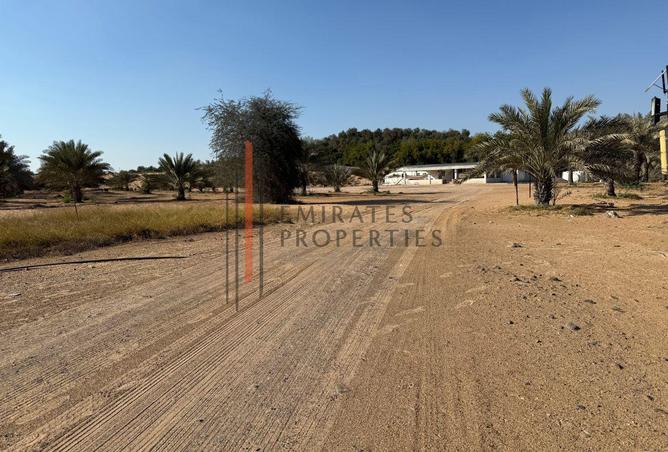 15818793 - Property Image 3