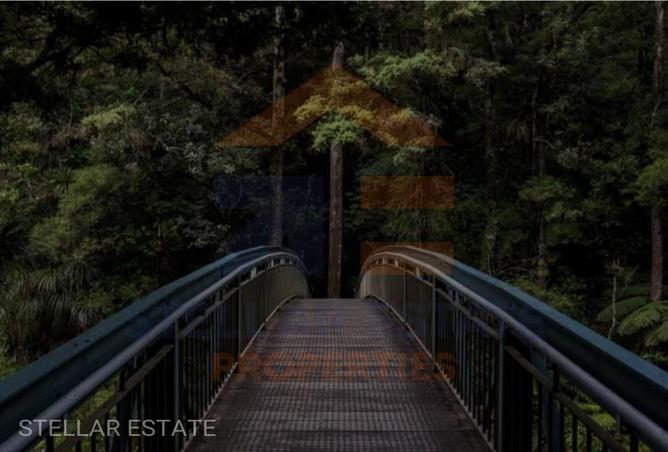 11573220 - صورة العقار 2