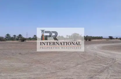 أرض - استوديو للبيع في الزاهية - عجمان